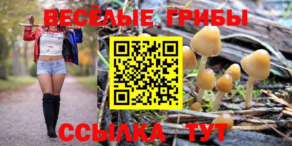 как найти закладки  Вход с VPN  Губаха  Галлюциногенные грибы Cubensis 
